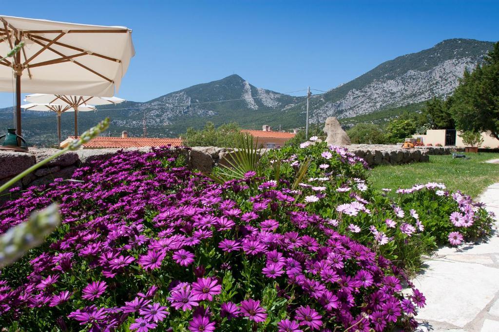 Hotel Villa Gustui Maris Cala Gonone Exterior photo